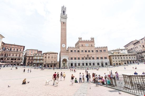 Piazza del Campo Siena  