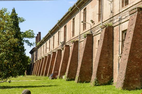 Alessandria_66398841-min.jpeg Alessandria_66398841-min.jpeg  