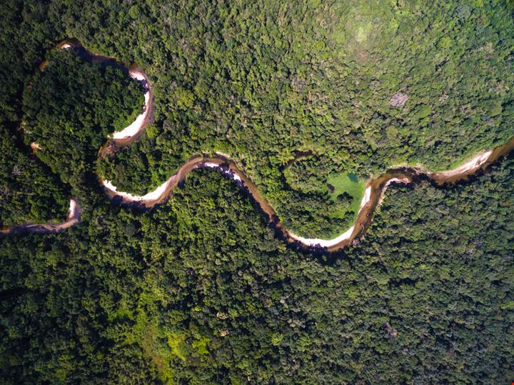 Amazzonia_482225107