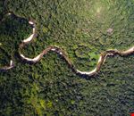 Amazzonia_482225107 Amazzonia_482225107