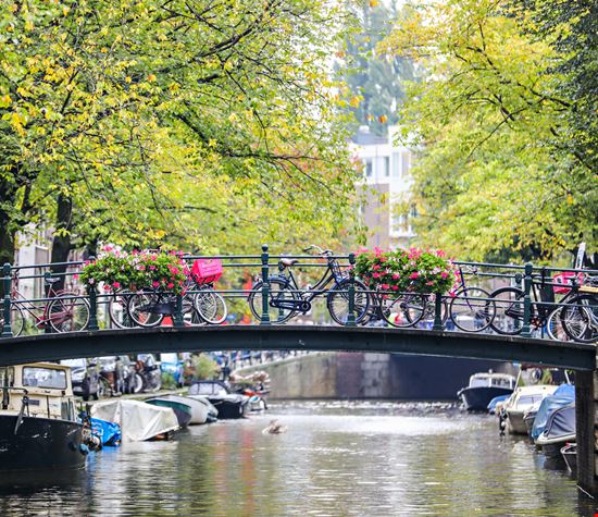 Amsterdam_312824077-min.jpeg Amsterdam_312824077-min.jpeg  