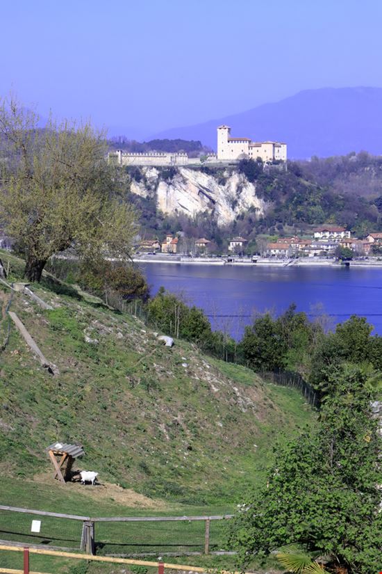 Angera_1356596525 Angera_1356596525  
