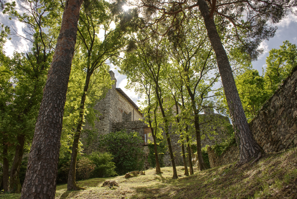 Angera_1977874832
