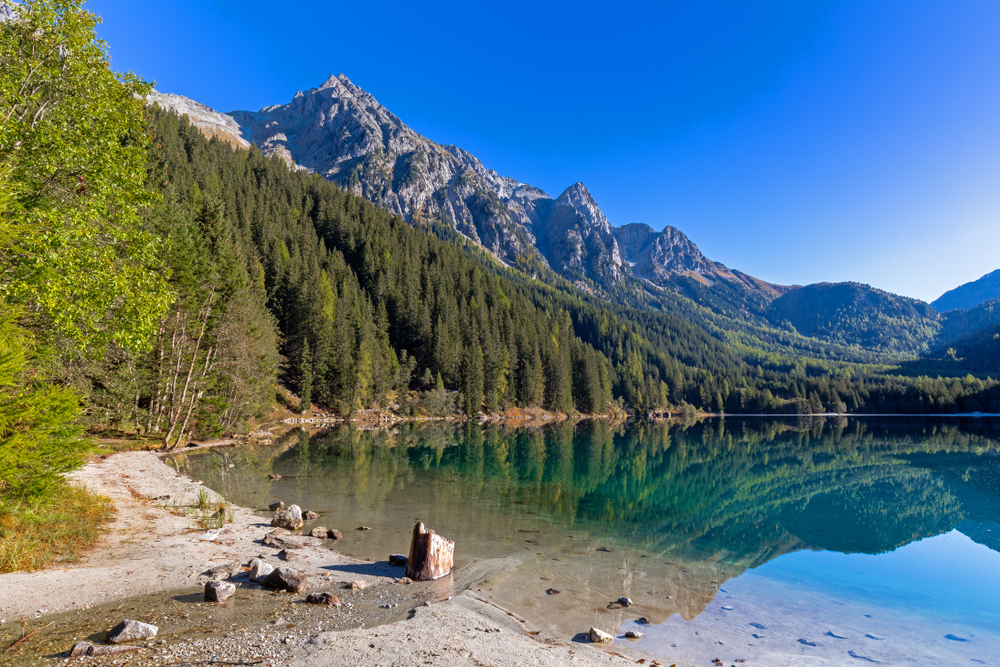 Anterselva_1550332634