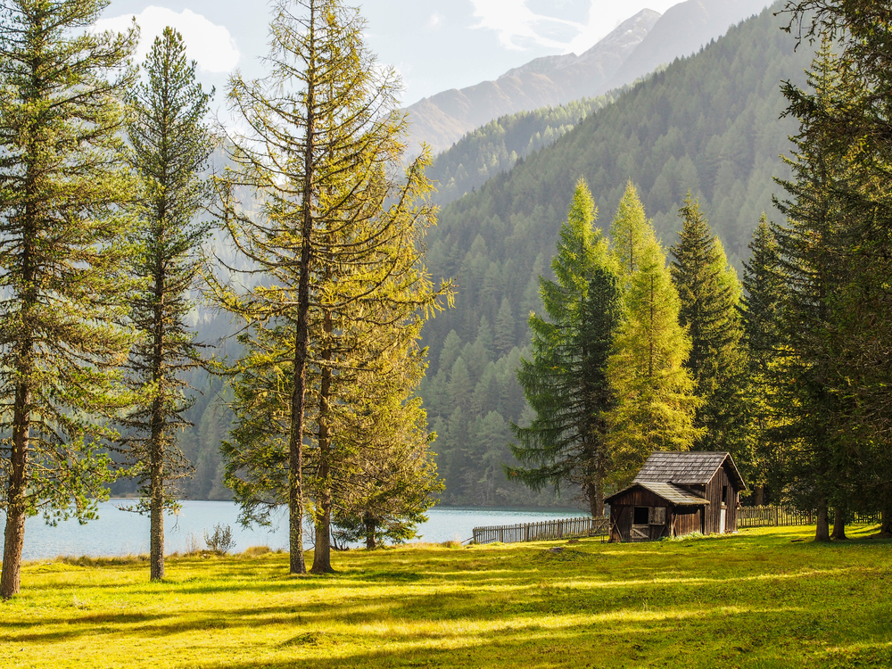 Anterselva_502303195