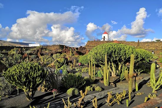  Lanzarote  