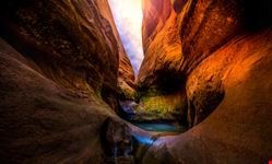 Arizona_434221294