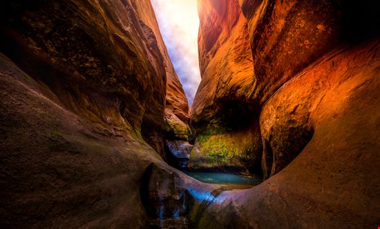 Arizona_434221294 Arizona_434221294  