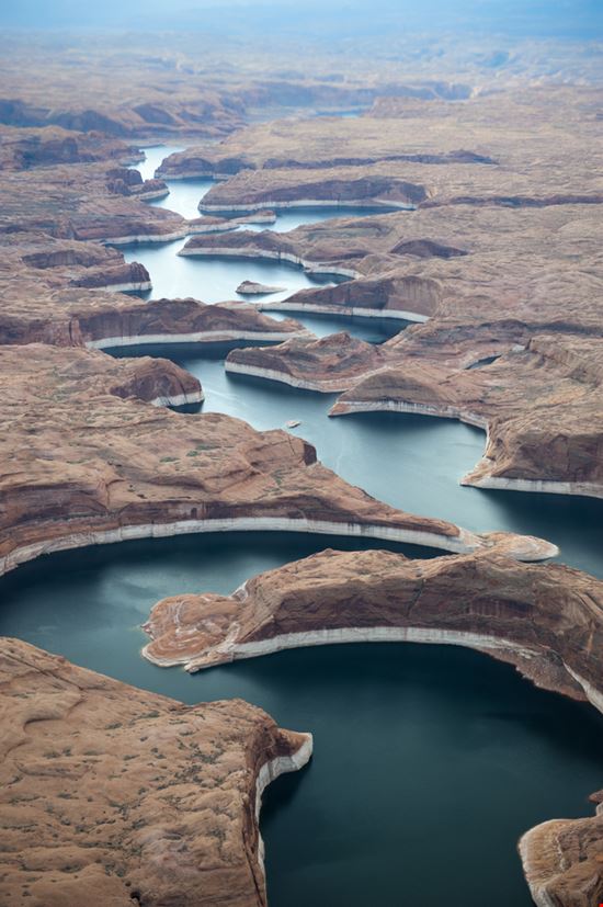 Arizona_69188584 Arizona_69188584  