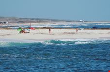 Arutas_1162139845