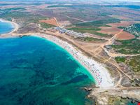 Arutas_1505396828
