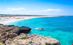 Arutas_1775140211