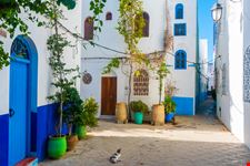 Asilah_230277622-min.jpeg