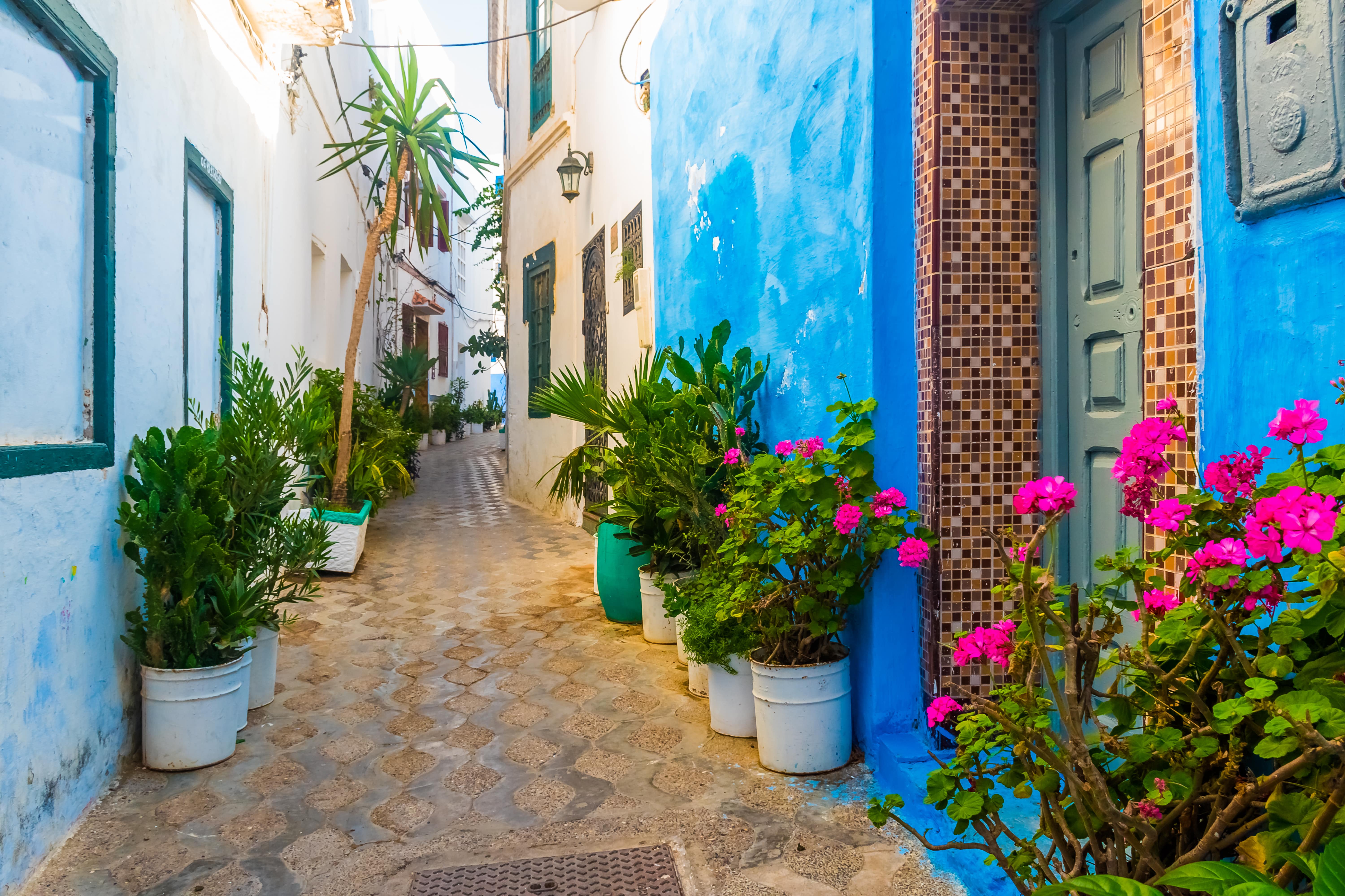 Asilah_230278277-min.jpeg