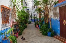 Asilah_292272231-min.jpeg