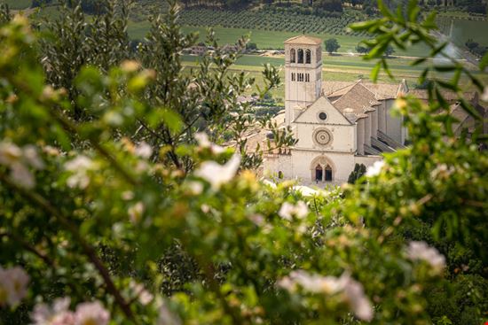 The Basilica of San Francesco d'Assisi Assisi  