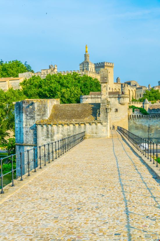Saint Benezet Bridge Avignon  