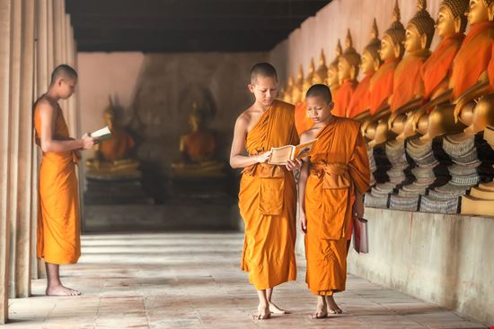 Ayutthaya_123640626-min.jpeg Ayutthaya_123640626-min.jpeg  