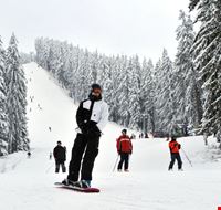 Bansko Bansko