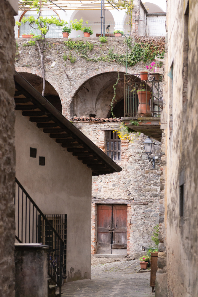 Barga_1475884316