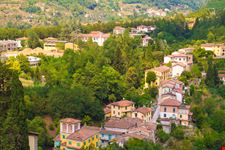 Barga_305643362