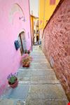 Barga_715339000