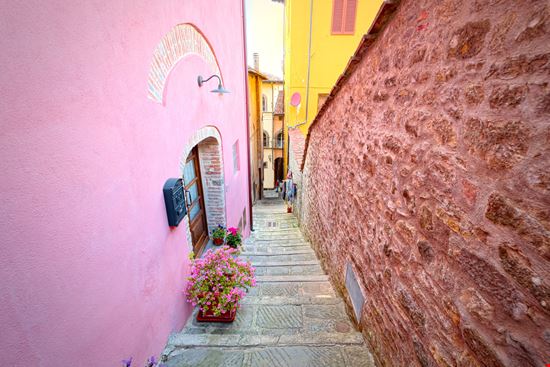 Barga_715339018 Barga_715339018  
