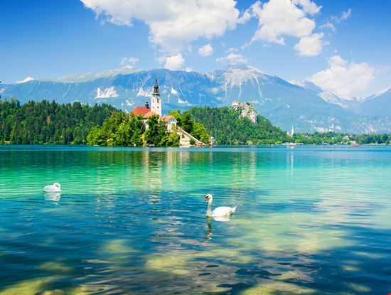 Bled_102087722-min.jpeg Bled_102087722-min.jpeg  