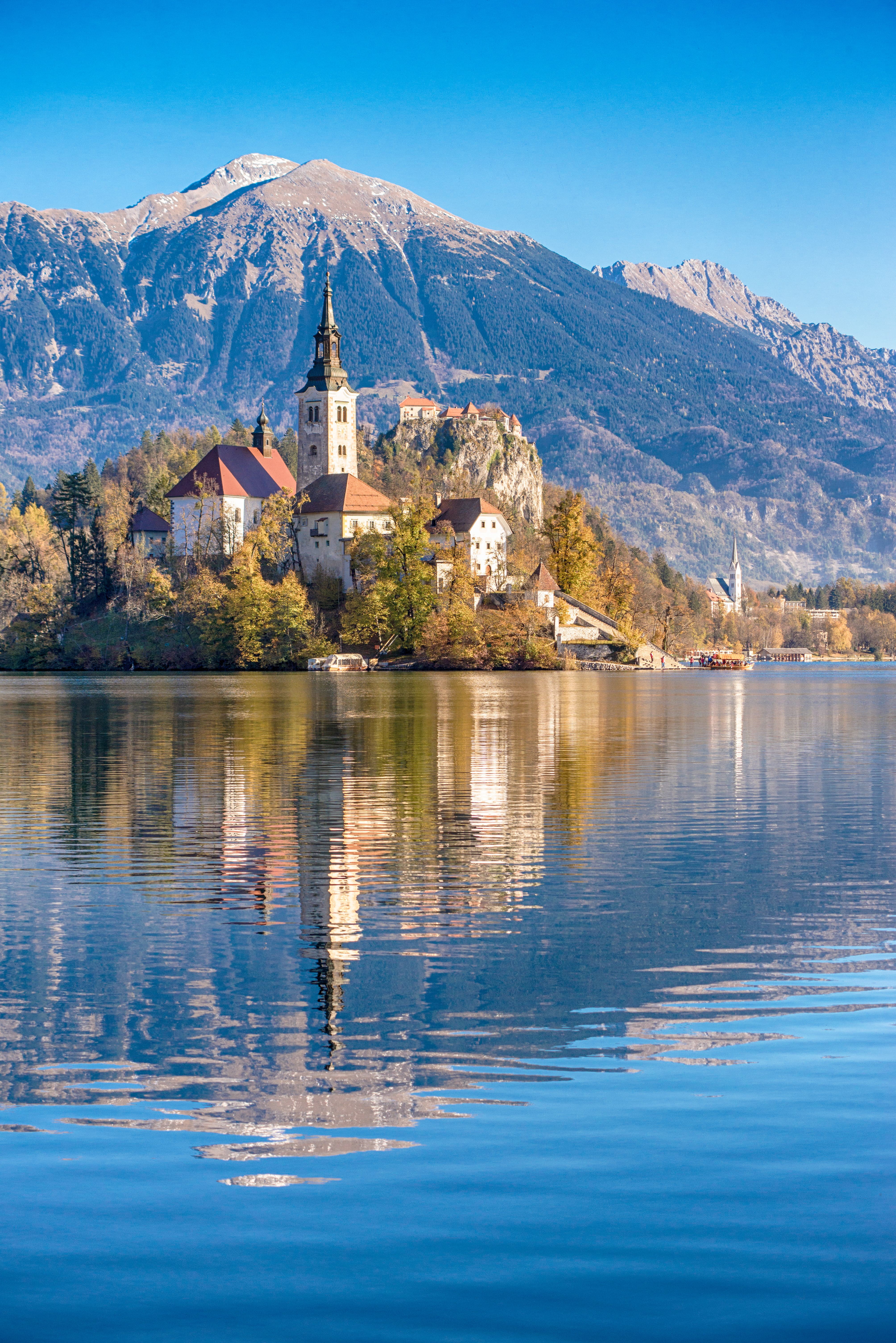 Bled_213354236-min.jpeg
