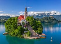 Bled_281221275-min.jpeg