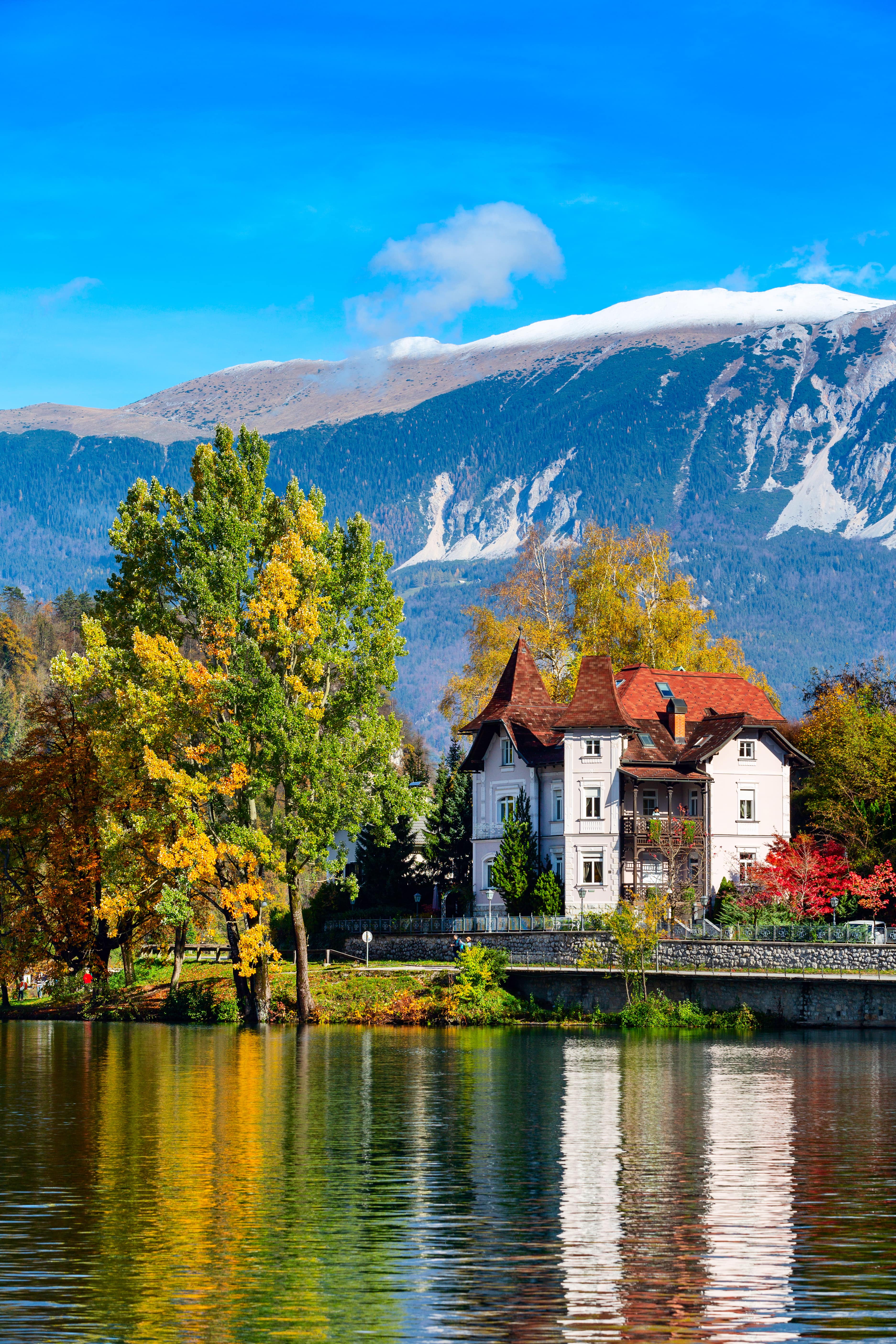 Bled_291569474-min.jpeg