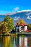Bled_291569474-min.jpeg