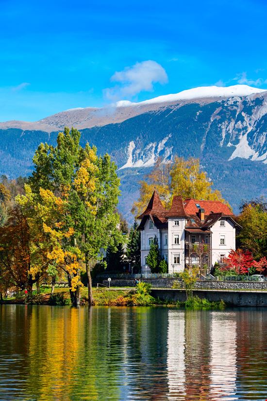 Bled_291569474-min.jpeg Bled_291569474-min.jpeg  