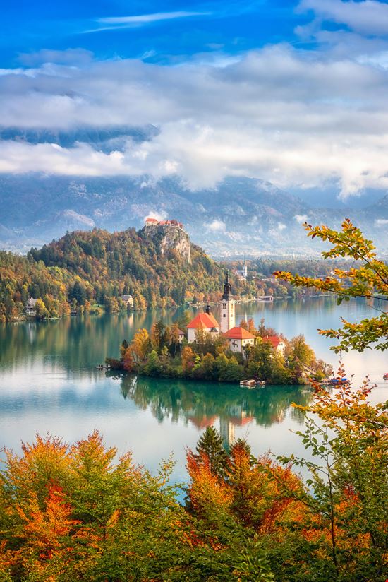 Bled_306133805-min.jpeg Bled_306133805-min.jpeg  