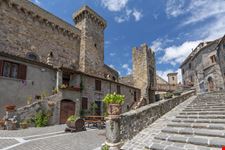 Bolsena_299559181-min.jpeg