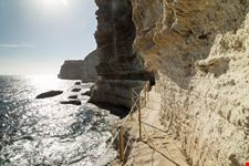 Bonifacio_193858570-min.jpeg