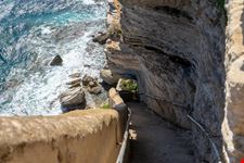 Bonifacio_212364854-min.jpeg