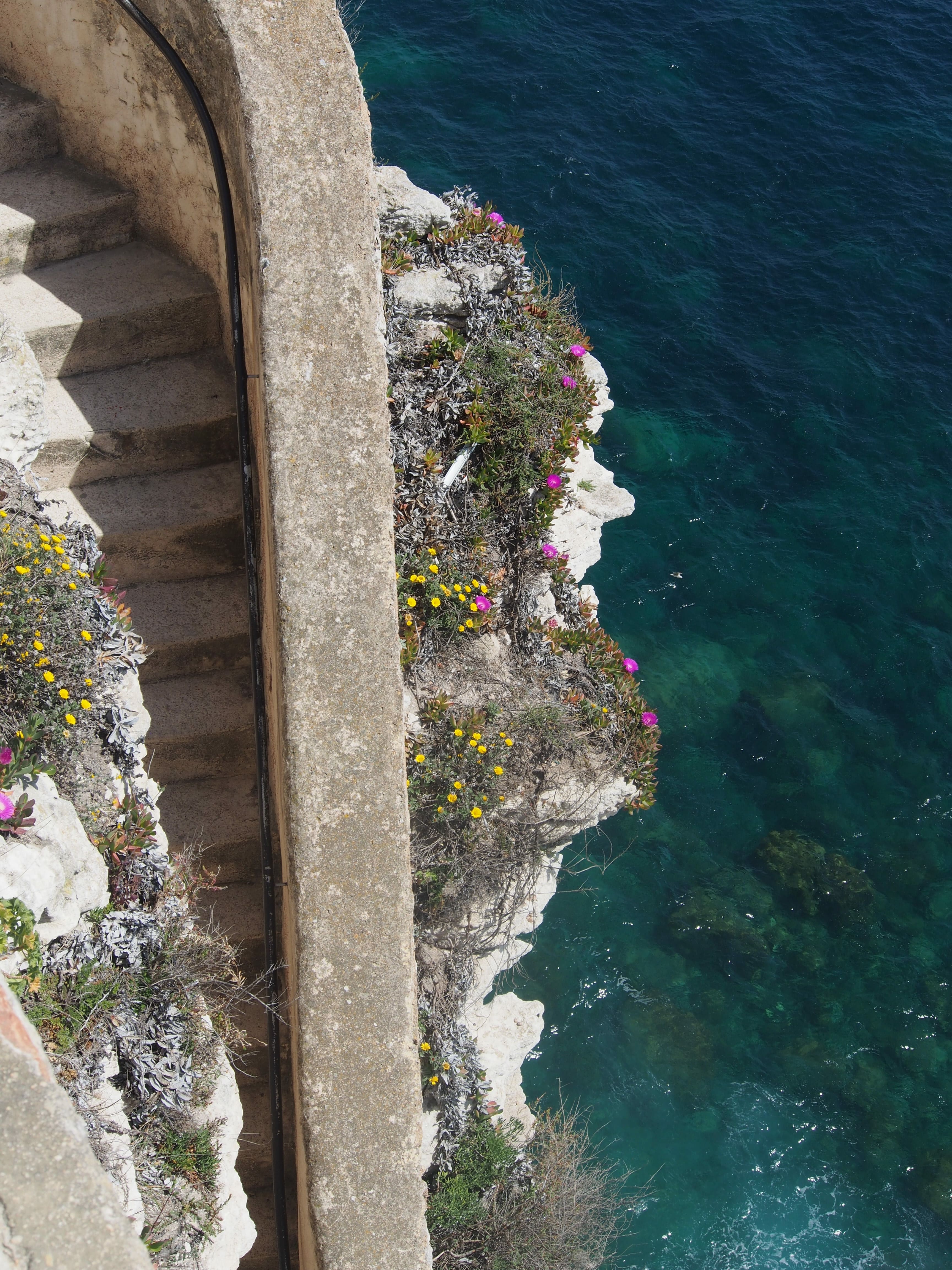 Bonifacio_258086012-min.jpeg