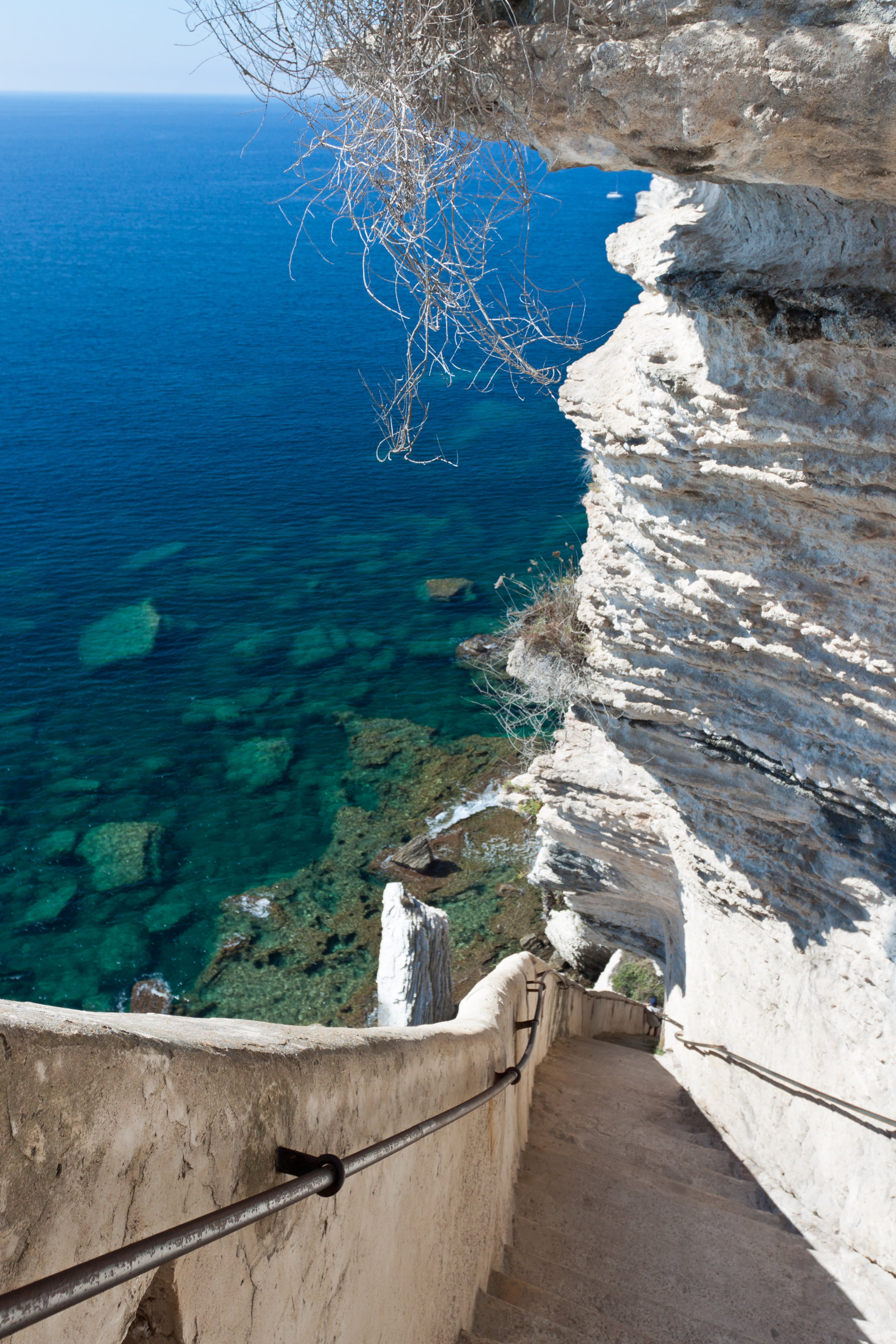 Bonifacio_38207697-min.jpeg