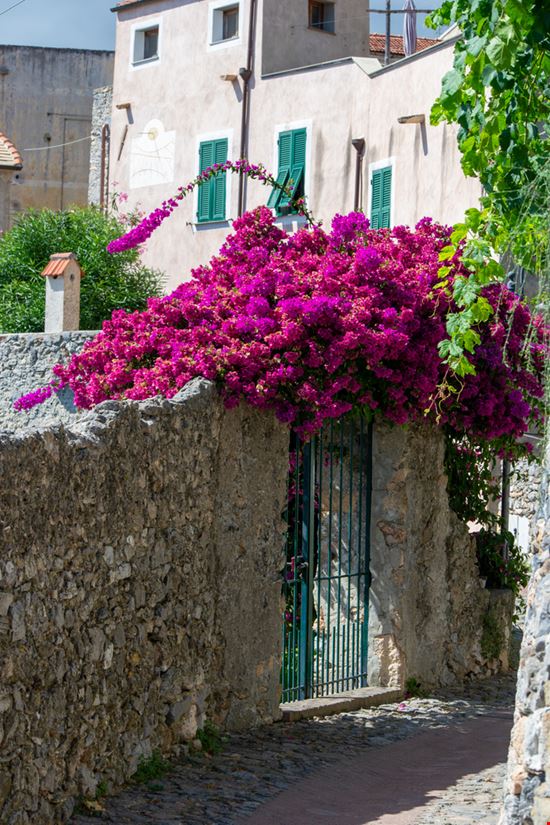 Borgio_Verezzi_1970151448 Borgio_Verezzi_1970151448  