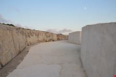 Burri_270793258-min.jpeg