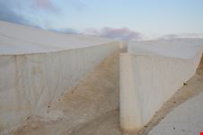 Burri_270793873-min.jpeg