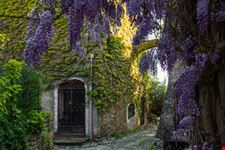 Bussana_725417605