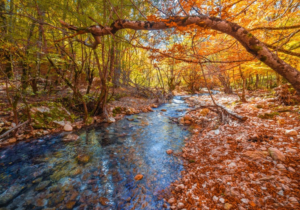 Camosciara_Abruzzo