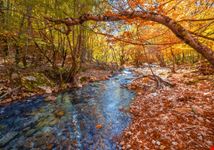 Camosciara_Abruzzo
