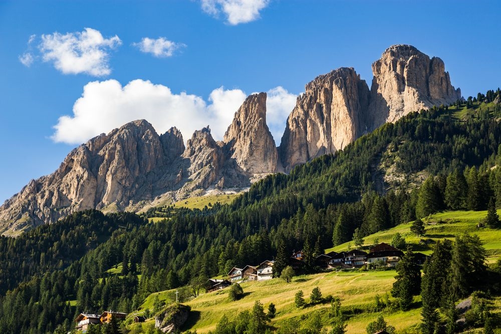 Campitello_estate