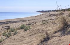 Campomarino_361556596-min.jpeg