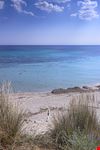 Campomarino_365990404-min.jpeg
