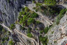 Capri_189289802-min.jpeg