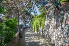 Capri_212787060-min.jpeg